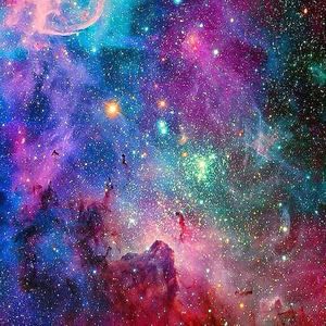 Meet your Posher, Shane